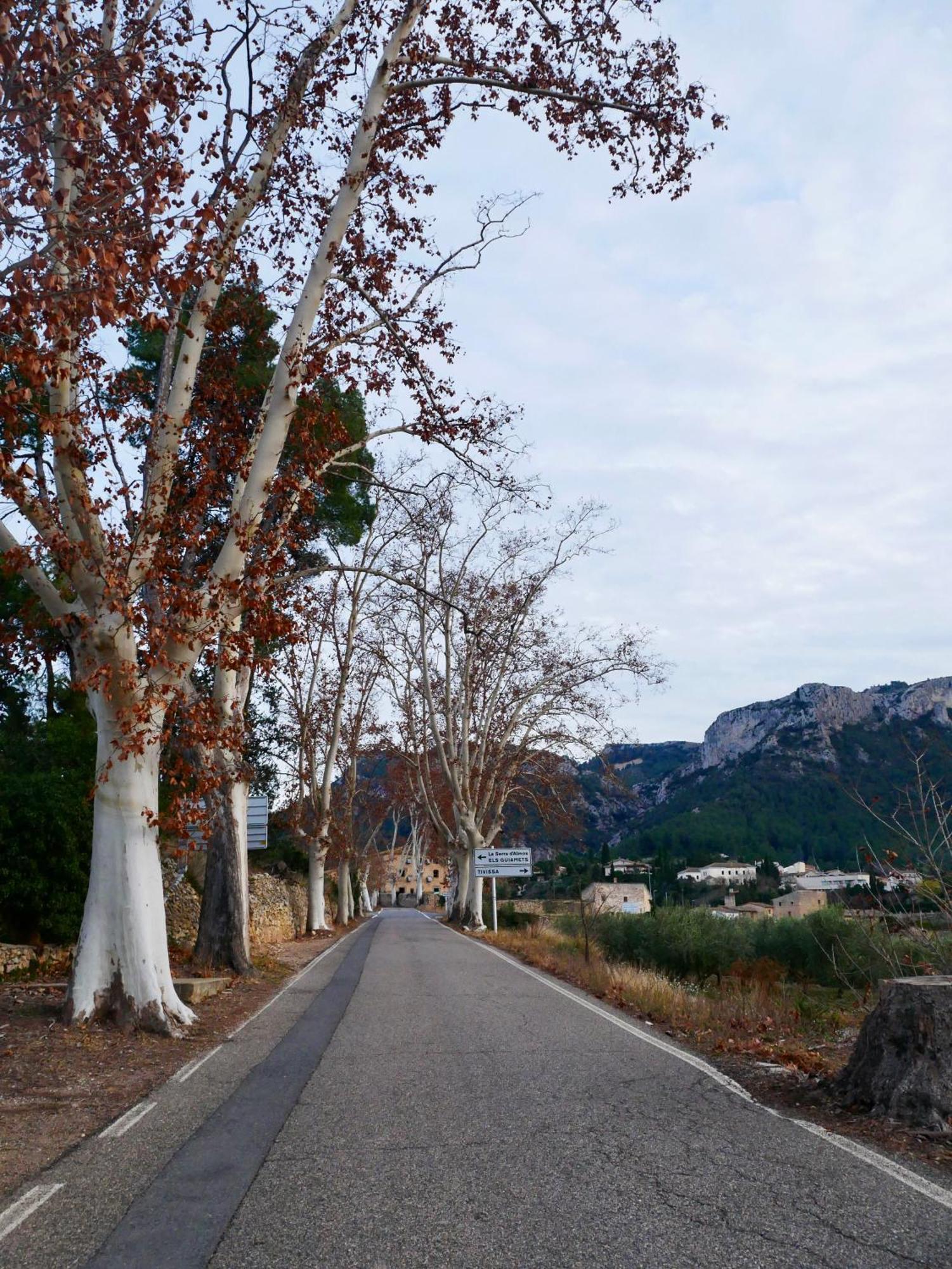 Apartament Rural Monetze Tivissa Exteriér fotografie