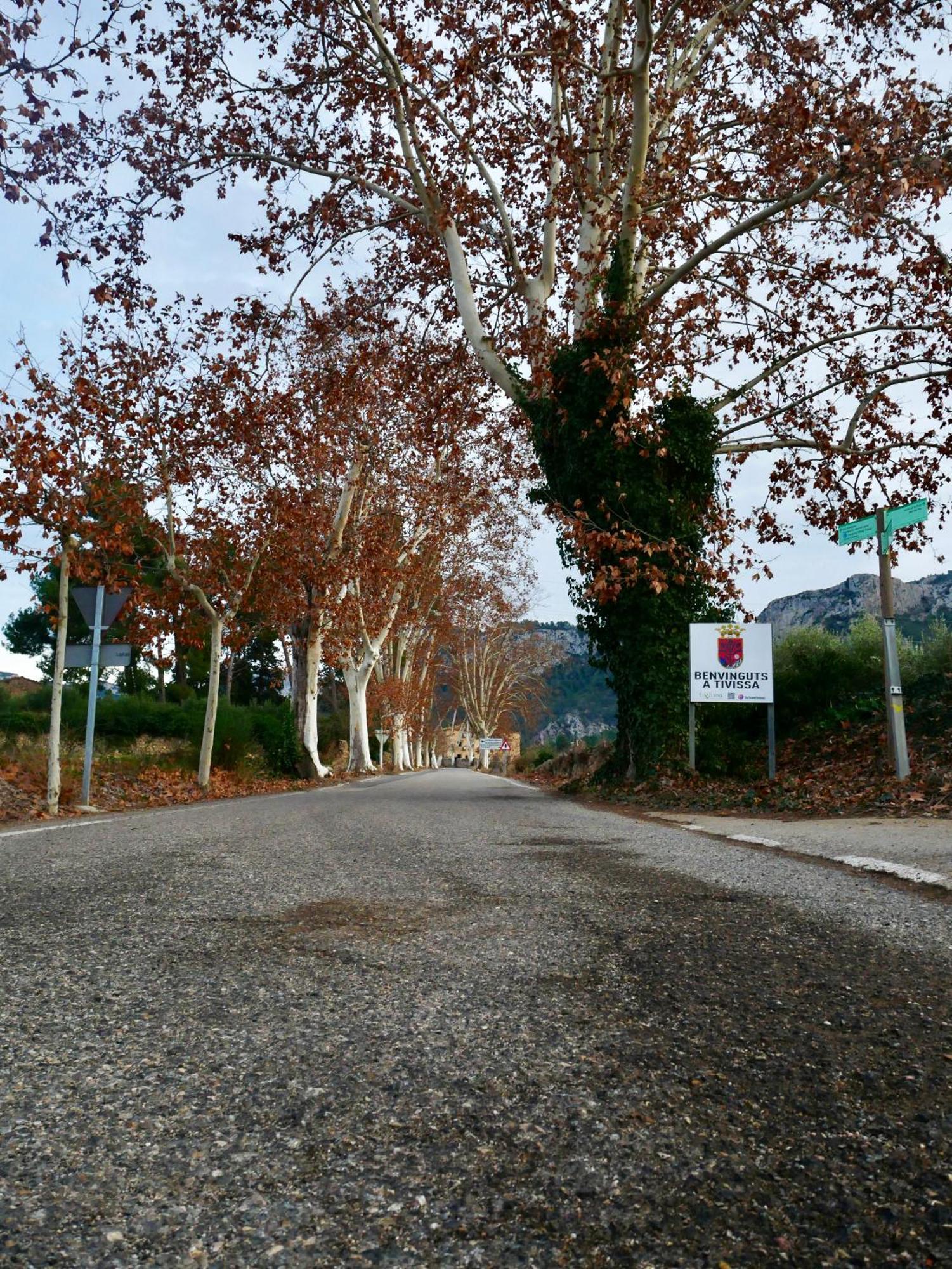 Apartament Rural Monetze Tivissa Exteriér fotografie